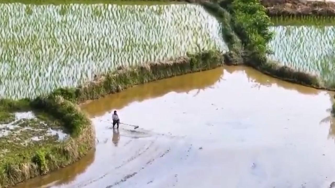 6月5日起 學生購買優惠火車票開啟在線資質核驗