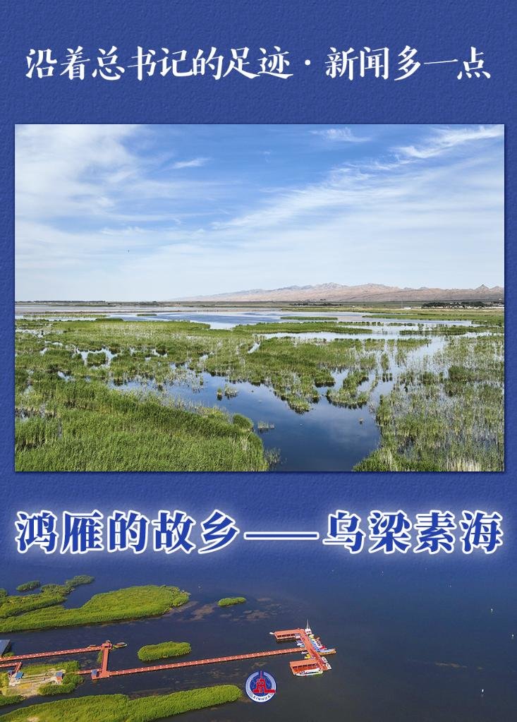 沿著總書記的足跡·新聞多一點｜鴻雁的故鄉——烏梁素海