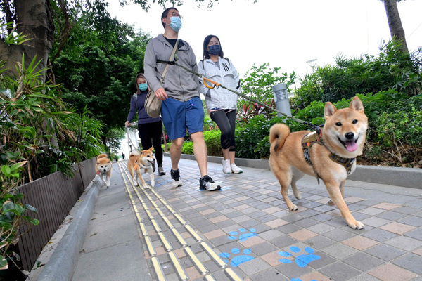 寵物共享公園增加逾50個