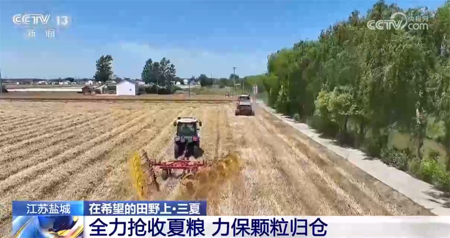 河南蘭考兜底收購受損小麥 最大限度減少農民損失