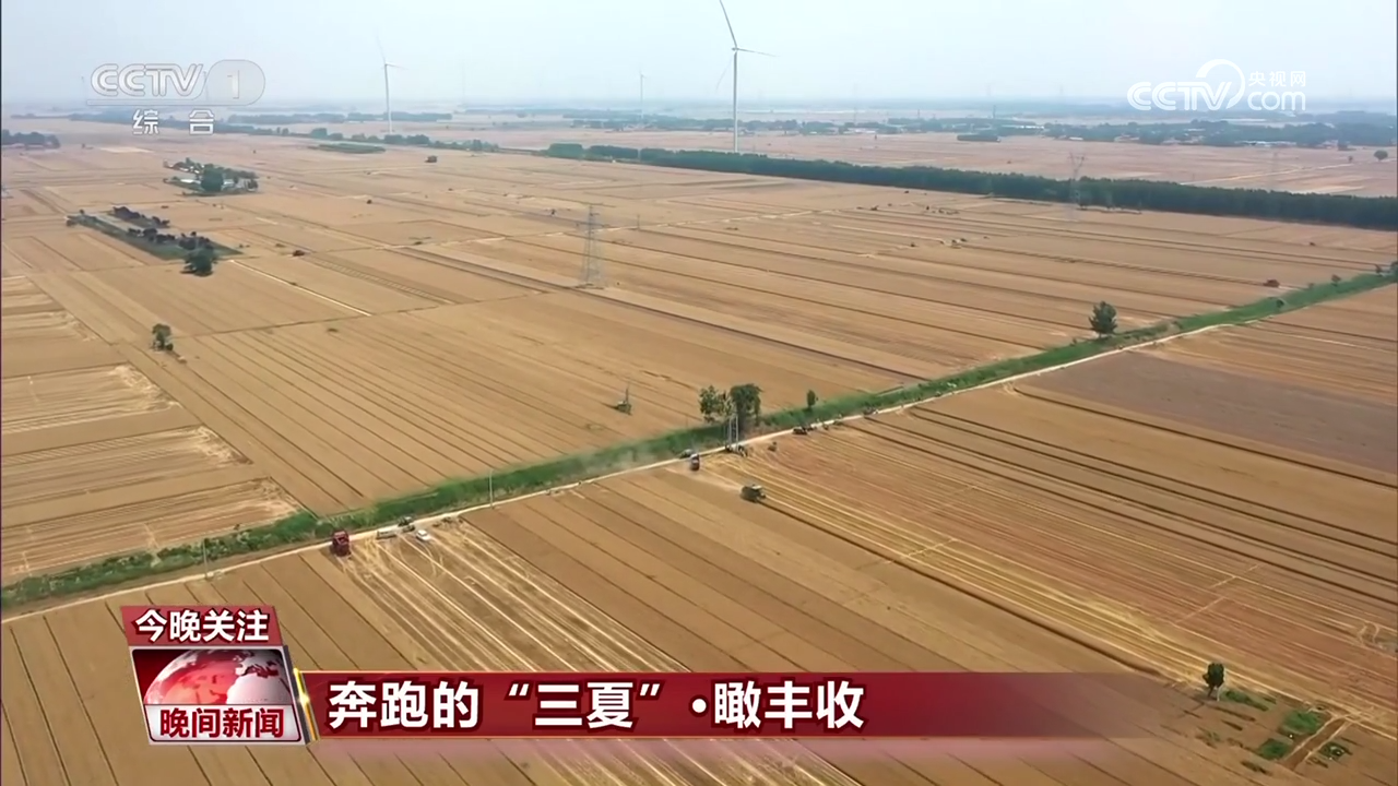 【奔跑的“三夏”】中國豐收地圖：中國糧倉 裝滿中國糧