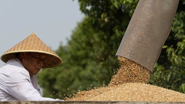 “厄爾尼諾”來襲？全球農產品價格異動，或加劇金融穩定風險