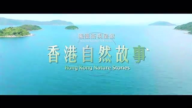 预告来了！《香港自然故事》系列纪录片即将推出