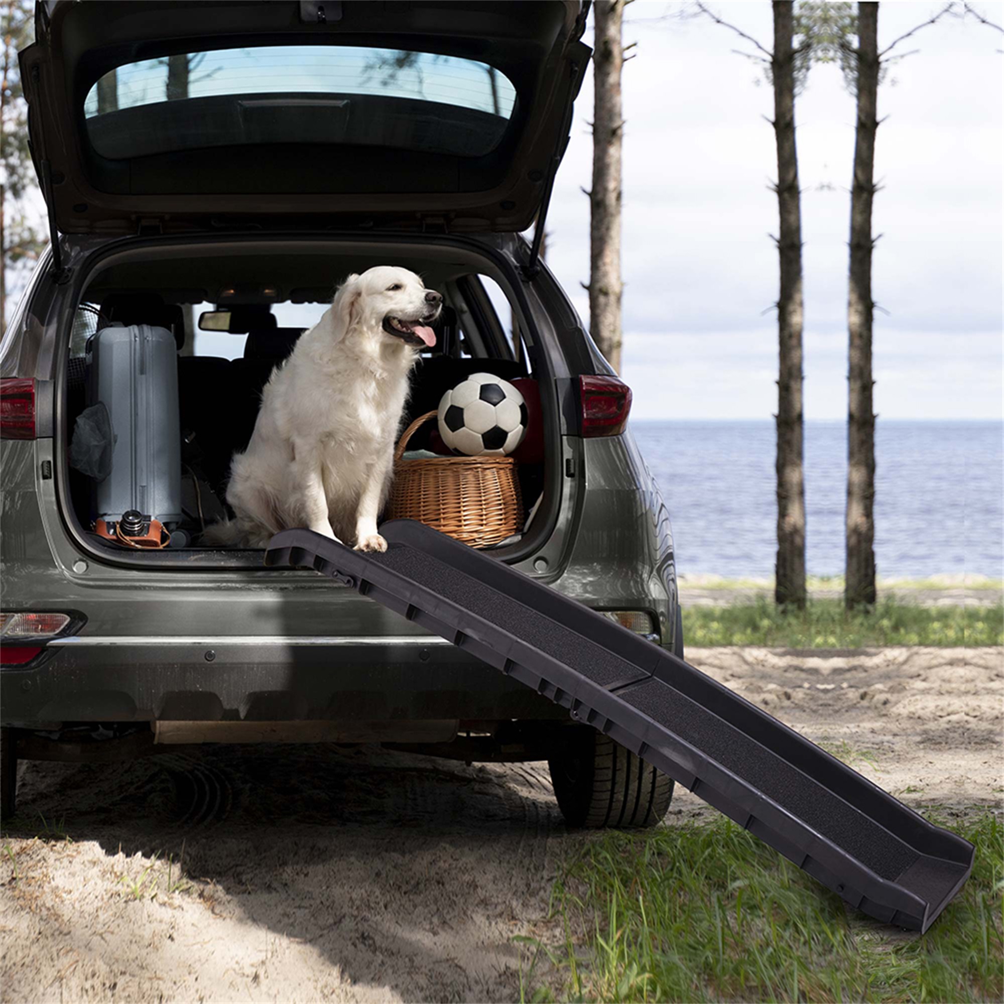 Spaco 60 Inch Portable Pet Ramp for Large Dogs Deluxe Telescoping Dog Ramp for Cars Trucks & SUV, Black