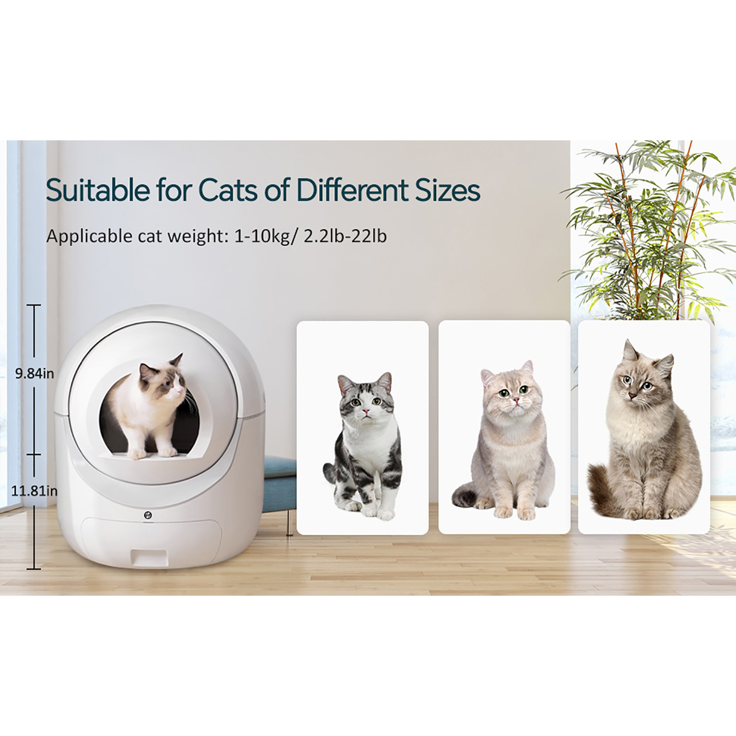 Kepooman Upgraded Hmi System, Self-Cleaning Litter Box for Multiple Cats, Automatic Dumping, Suitable for All Kinds of Cat Litter, Safe, Deodorizing, App Control, Support 2.4g Wifi, White Kepooman Upgraded Hmi System, Self-Cleaning Litter Box for Multiple Cats, Automatic Dumping, Suitable for All Kinds of Cat Litter, Safe, Deodorizing, App Control, Support 2.4g Wifi, White