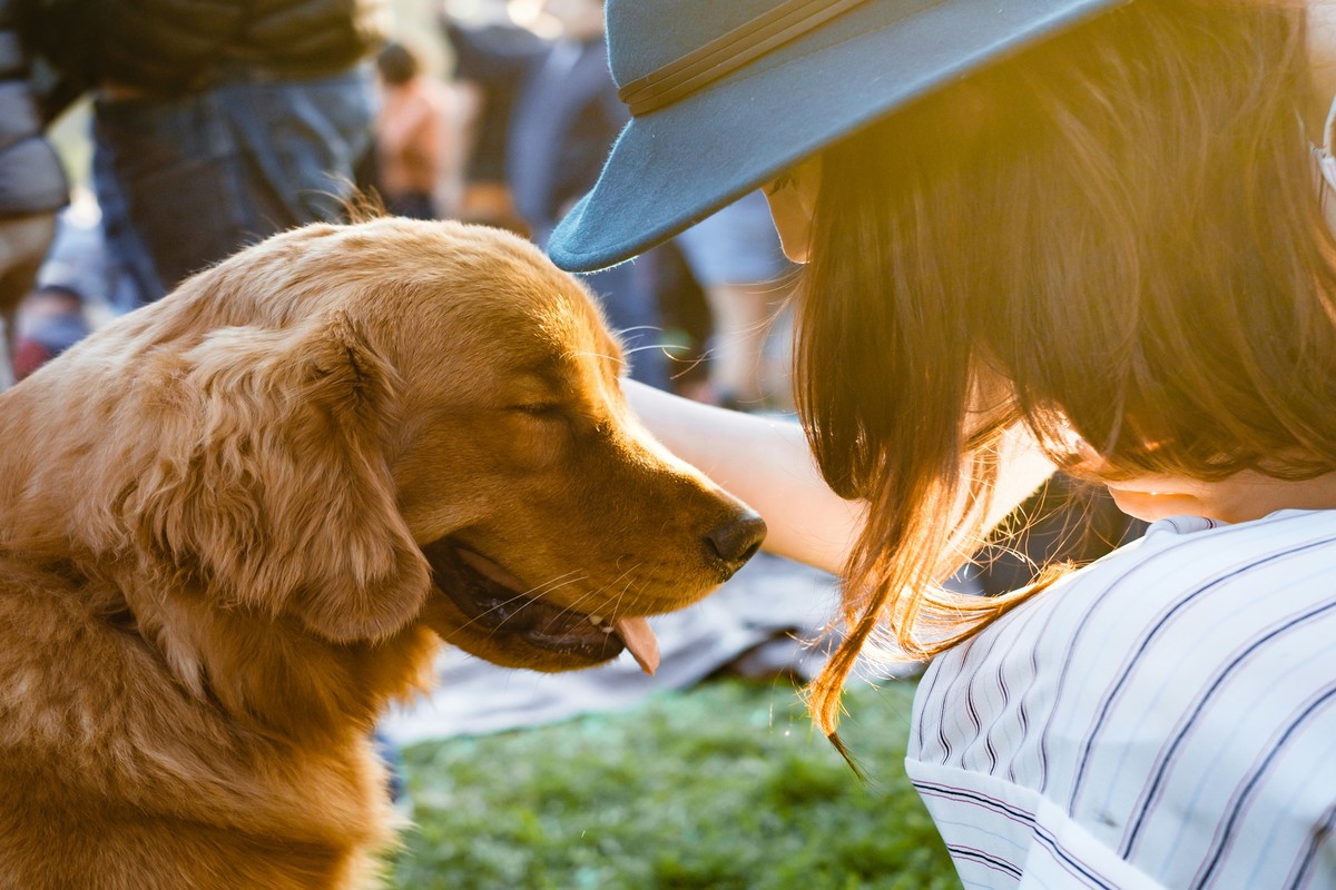 Eco-Friendly Pet Fashion Choices