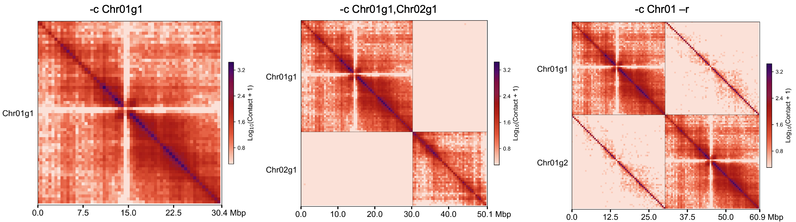 chrom_plot